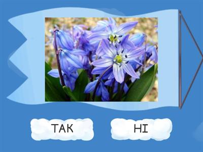 Досліджуємо весну 1 клас