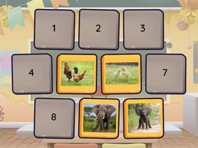 Parent Baby Matching Pairs