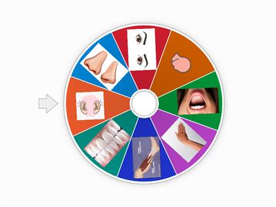 Body parts grade 3 (have/has)