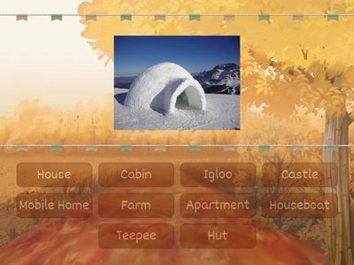 Homes around the world