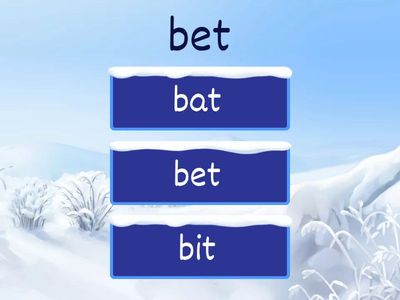 Past Tense Verbs (Final Exam Review Part 1)