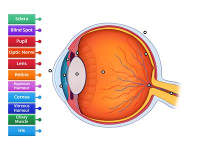 Label the eye diagram