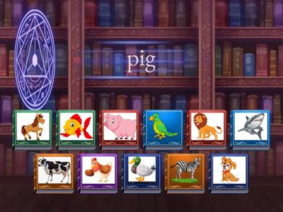 Find the match _ SM Starter _ Unit 4 _ Animals