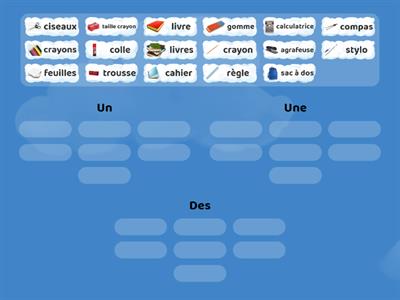 Trier par groupe - Les articles indéfinis (1)