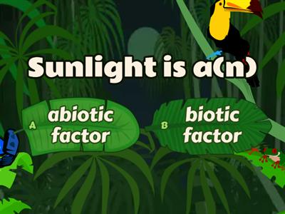 Warmup: Ecosystem Review