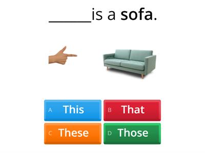 DEMONSTRATIVES practice