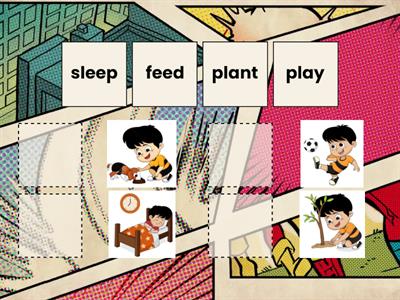 plant play sleep feed