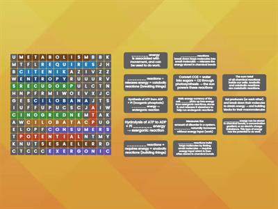 3/6 Wordsearch Activity
