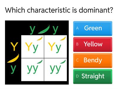 Genetic Crosses Quiz