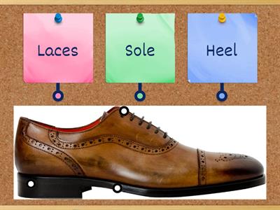 WW4 -Unit 3 - Parts of the shoe