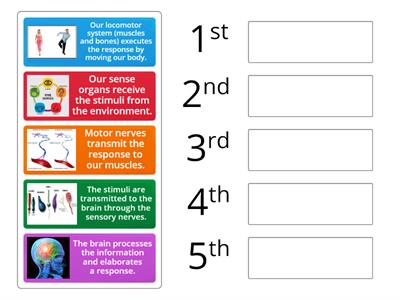 Interaction function - order the process