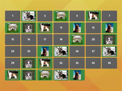 Match Dog Breeds