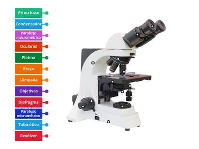 Microscópio ótico composto