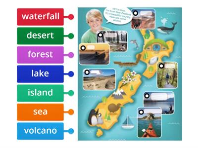 vocab review labelled