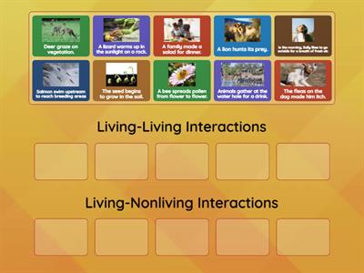 Interactions in Ecosystems Group Sort (5th grade Science)