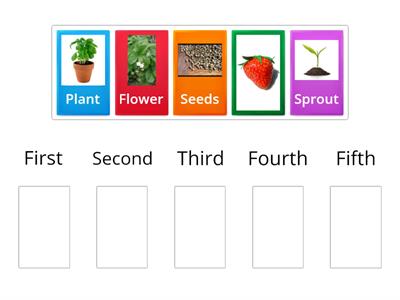  Plant Life Cycle