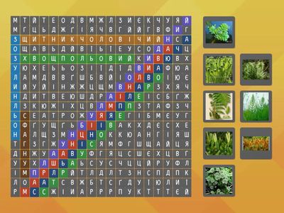 Вищі спорові рослини