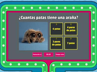 Cultura general para niños