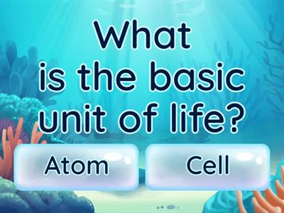 Basic Biology Concepts Quiz
