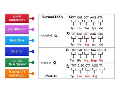 Mutations Matching