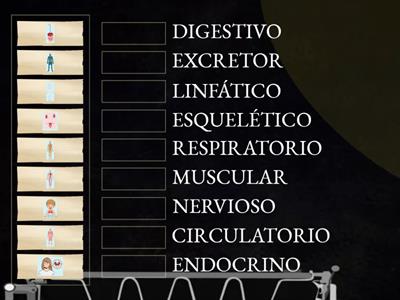 JUEGO INFANTIL 5 AÑOS - SISTEMAS  Y FUNCIONES 