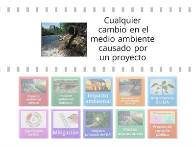 Evaluación de Impacto Ambiental