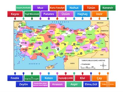 TARIM VERİLERİ 2024 GÜNCEL