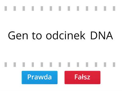 Prawda czy fałsz - GENETYKA sprawdzian klasa 8 cz. 3