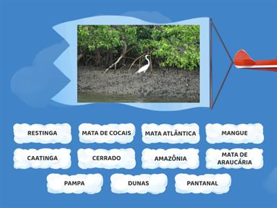 ECOSSISTEMAS E BIOMAS BRASILEIROS