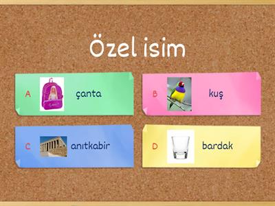 ÖZEL İSİM- TÜR (CİNS) İSİM