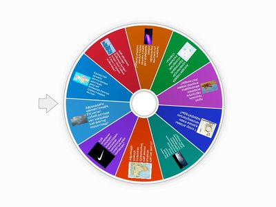 Экземпляр «Эко-дөңгелек: Геоэкология әлемі»