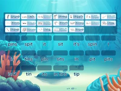 Hickey 01 (i,t,p,n,s) Vocabulary