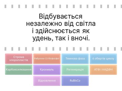 Фотосинтез. Темнова фаза