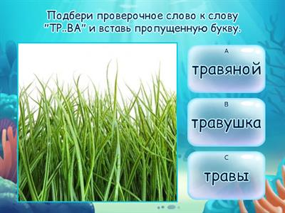  безударные гласные в корне