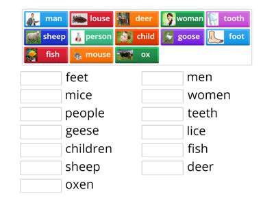 Irregular Plurals 