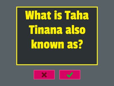 Te Whare Tapa Whā Revision (Beginner Level)