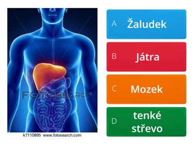  člověk