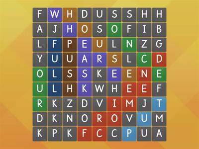 Y1 Common Exception Words