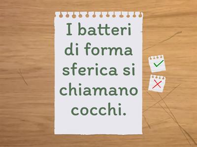 DIFFERENZE TRA VIRUS E BATTERI