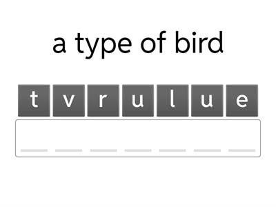 Grade 5 - The Griffon Vulture