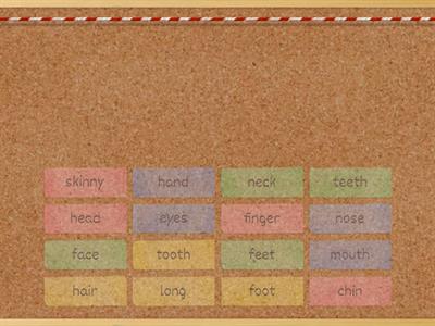  Corps et visage ( 6èmes)