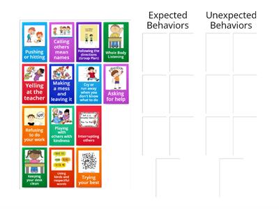  Expected vs Unexpected Behaviors