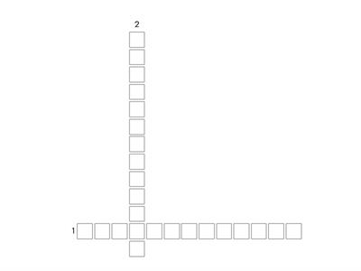 software profesional