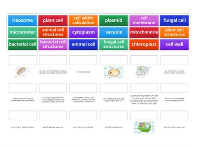 National 5 biology 1.1 cell structure