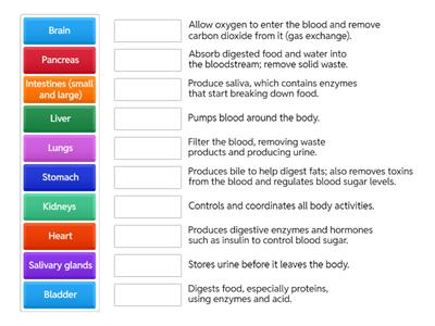 Organs and their functions