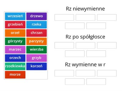 Pisownia wyrazów z rz