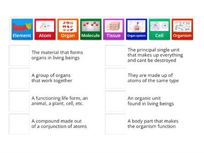 Organization levels