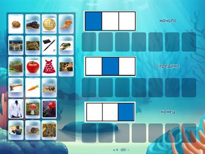 Звук Р- место в слове