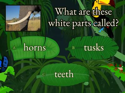 ANIMAL PARTS: vocabulary