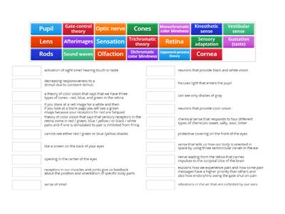 Sensation Vocabulary